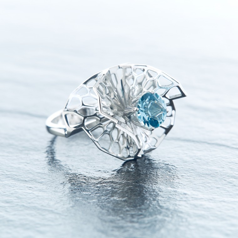 Ring from the Ballet.Concept collection 